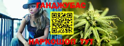 крисы Можга