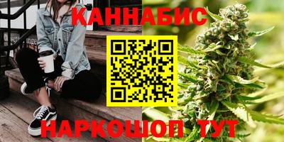 крисы Можга
