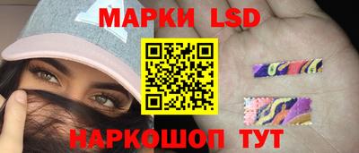 стафф Моздок