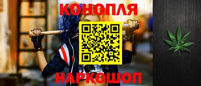 стафф Моздок
