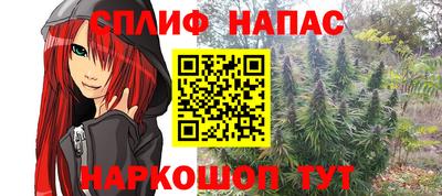 стафф Моздок