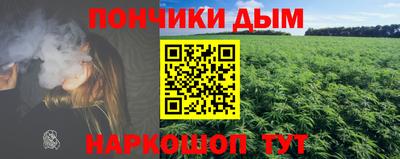 крисы Можга