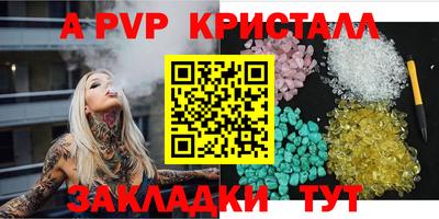 крисы Можга