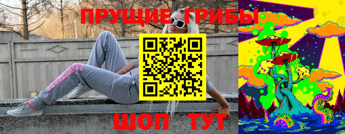 Галлюциногенные грибы прущие грибы  Вход с VPN  Светлоград 