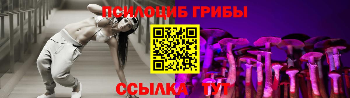 Псилоцибиновые грибы Psilocybe Светлоград